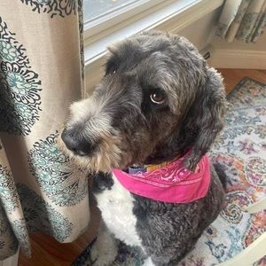 Meet your Posher, Renee